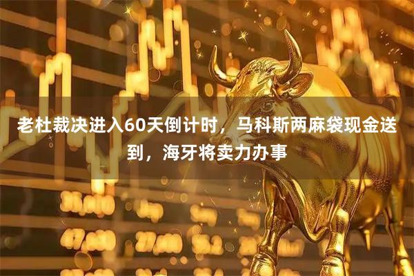 老杜裁决进入60天倒计时，马科斯两麻袋现金送到，海牙将卖力办事