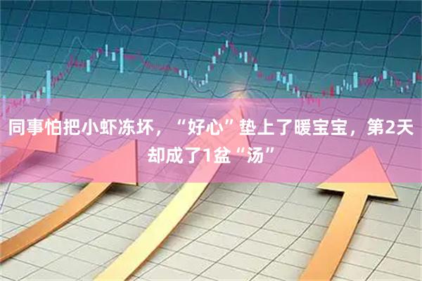 同事怕把小虾冻坏，“好心”垫上了暖宝宝，第2天却成了1盆“汤”