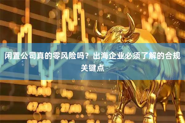 闲置公司真的零风险吗？出海企业必须了解的合规关键点